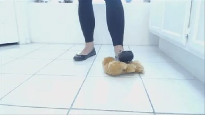 Crushing My Stepdaughter's Teddy Bear In My Ballet Flats With No Toenail Polish