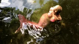 The Making of a Mermaid
