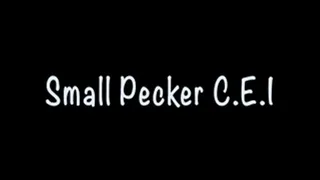 Small Pecker CEI