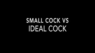 small cock vs IDEAL COCK