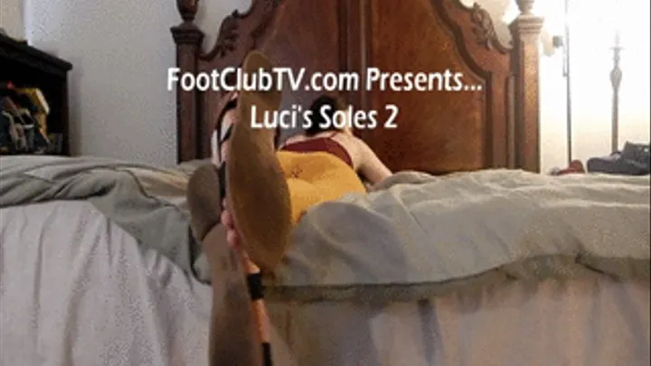 Luci's Soles 2