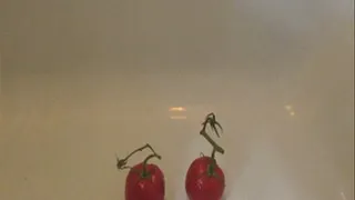 Bathtub Tomato Crushing