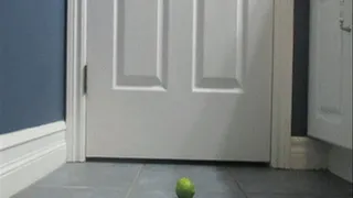 Crushing Limes