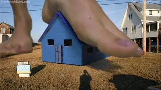 Feet Licking Giantess Transference