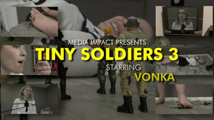 Tiny Soldiers 3