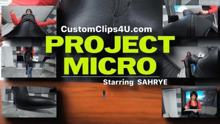 Sahrye Micro Project FX