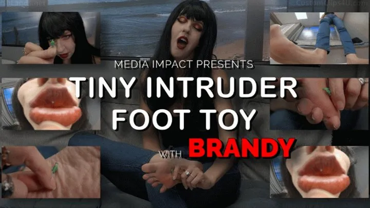 Tiny Intruder Foot Toy