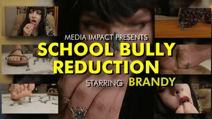 School Bully Reduction