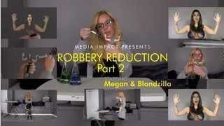 Robbery Reduction 2