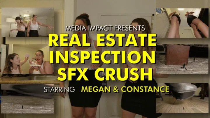 Real Estate Inspection SFX Crush