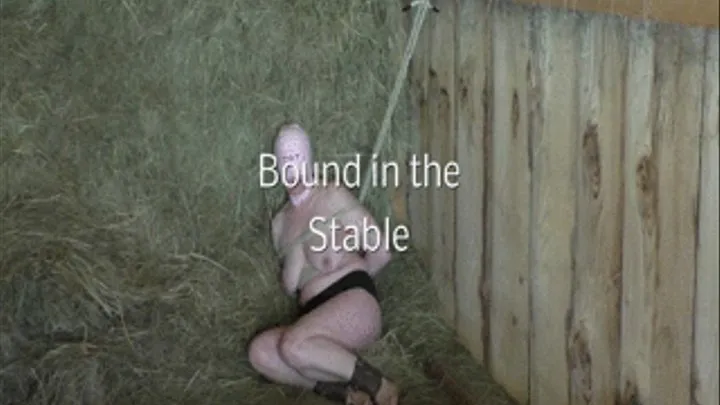 Bound in the Stable