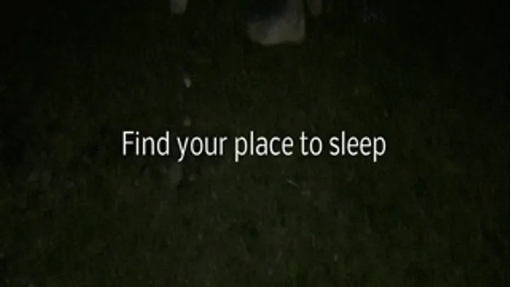 Find your place to rest