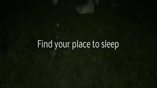 Find your place to rest