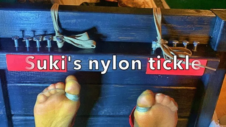 Suki's Nylon Tickle in Stocks