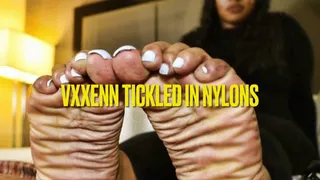 VXXEN's First Nylon Tickle