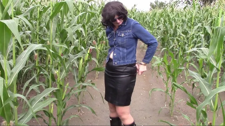 Lost in the cornfield