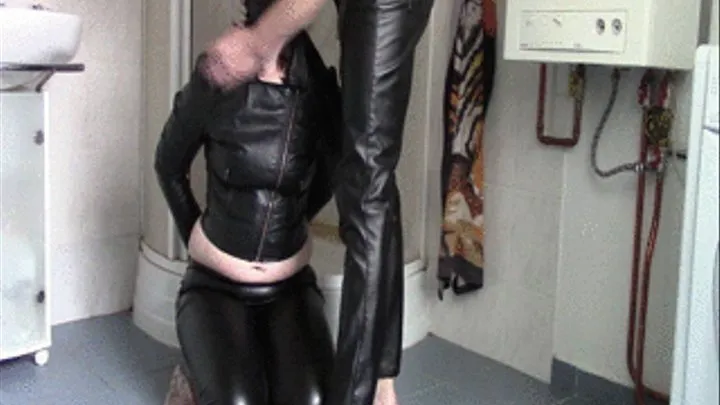 Wet leather