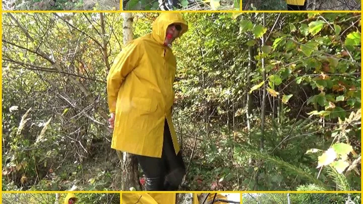 Handcuffed to a tree in a yellow raincoat