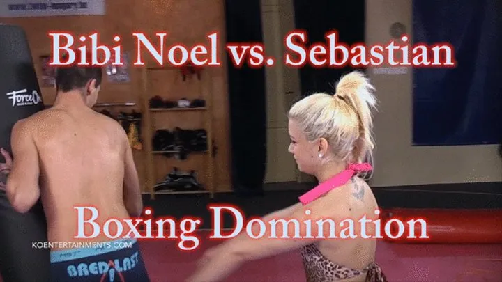 Bibi Noel - Boxing Domination