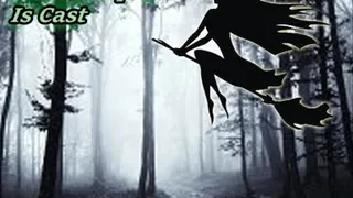 The Witch in the Woods pt 1- The Spell is Cast - Mesmerizing Audio