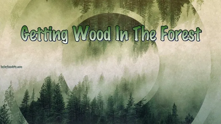 Getting Wood In The Forest