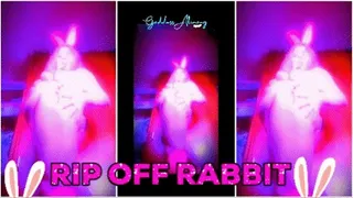 RIP OFF RABBIT #VIDEO option 2