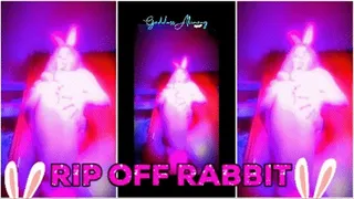 RIP OFF RABBIT #VIDEO option 1