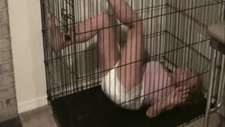 Amber: Unassisted Mess in Cage