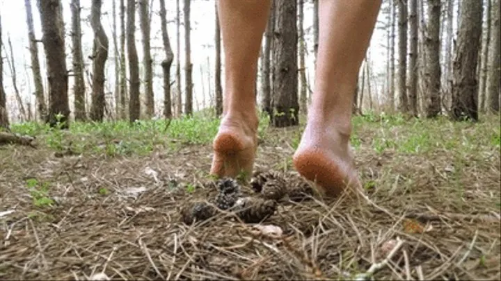 Smashing fir cones and playing with them with my feet - barefoot in the forest