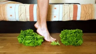 Crushing lettuce barefoot