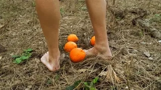 Crushing oranges barefoot in the forest