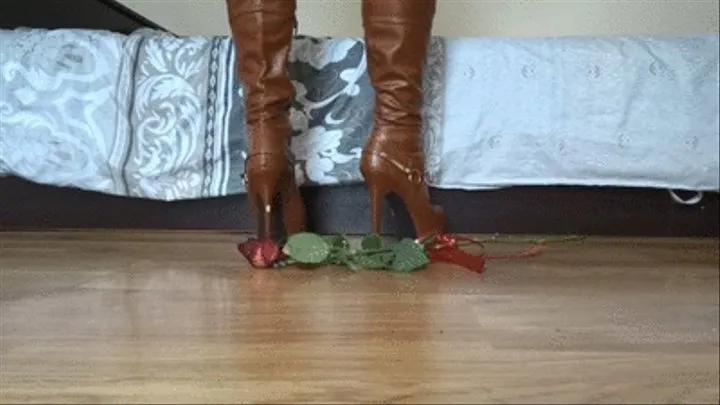 Crushing your girlfriends gift rose under my brown high heel boots