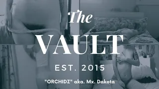 THE VAULT: 2015