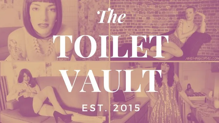 The TOILET Vault circa 2015