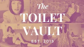 The TOILET Vault circa 2015