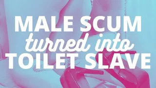 Male scum turned into toilet slave AUDIO mp3