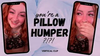 You're a PILLOW HUMPER?! [vertical]