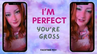 I'm perfect, you're gross (facetime POV - vertical clip)