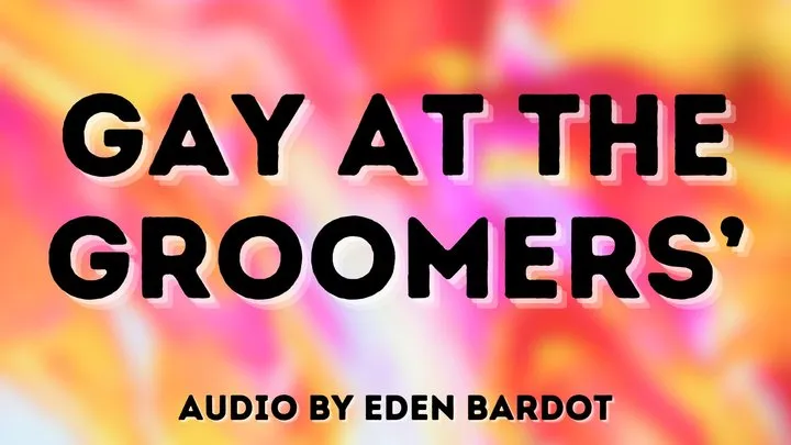 Gay at the Groomer's Audio-Visual