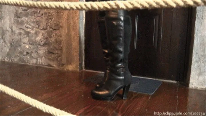 Mistress Pandora Loves Trampling (Part 1)