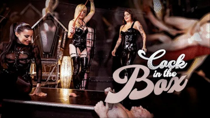 Cock In The Box! Ft Miss Roper, Mistress Tess & Mistress Mika - 1080pm Format