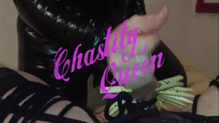 Chastity Queen Tease and Denial of Her lowly slave..CBT Pleasure!