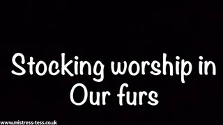 Stockings worship whilst in Our furs