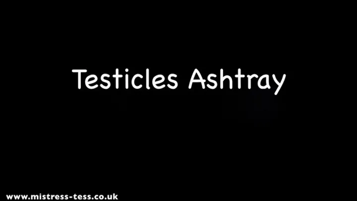 Testicular Ashtray