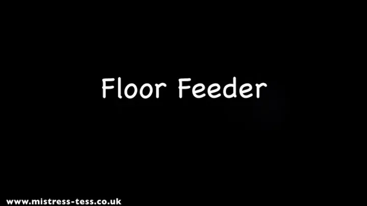 Dirty Spit Loving Floor Feeder