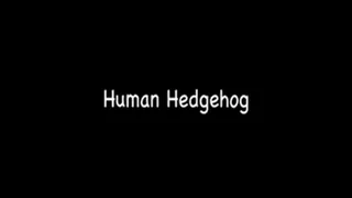 Human Hedgehog