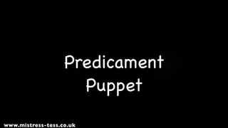 Predicament Puppet