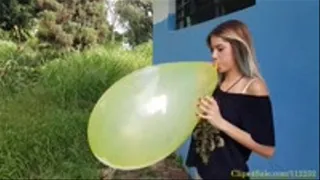 Anna's First Blow to Pop: Two 16" Balloons