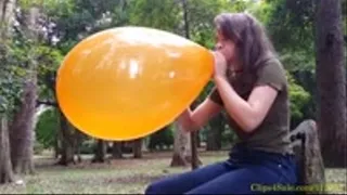 Alice Blow to Pop an Orange 16" Chinese Balloon