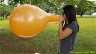 Debby Blow to Pop a Malaysian 14" Balloon